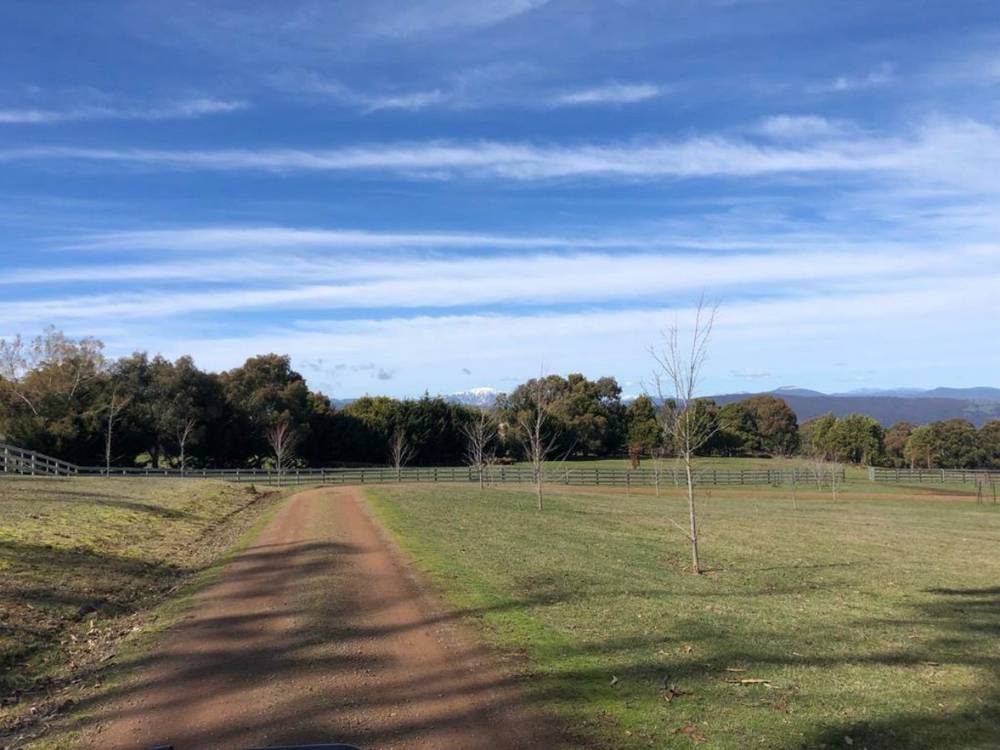 104 Bunstons Road, TOLMIE, VIC 3723