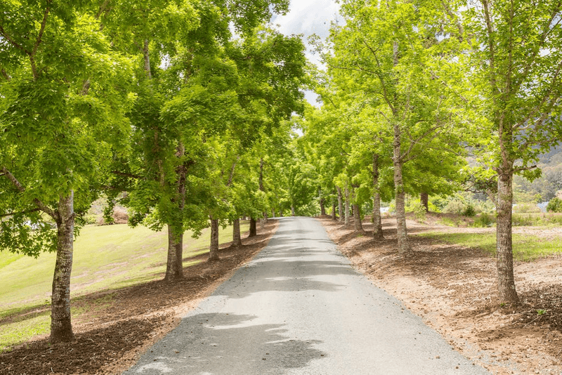 150 Coates Road, POSSUM BRUSH, NSW 2430