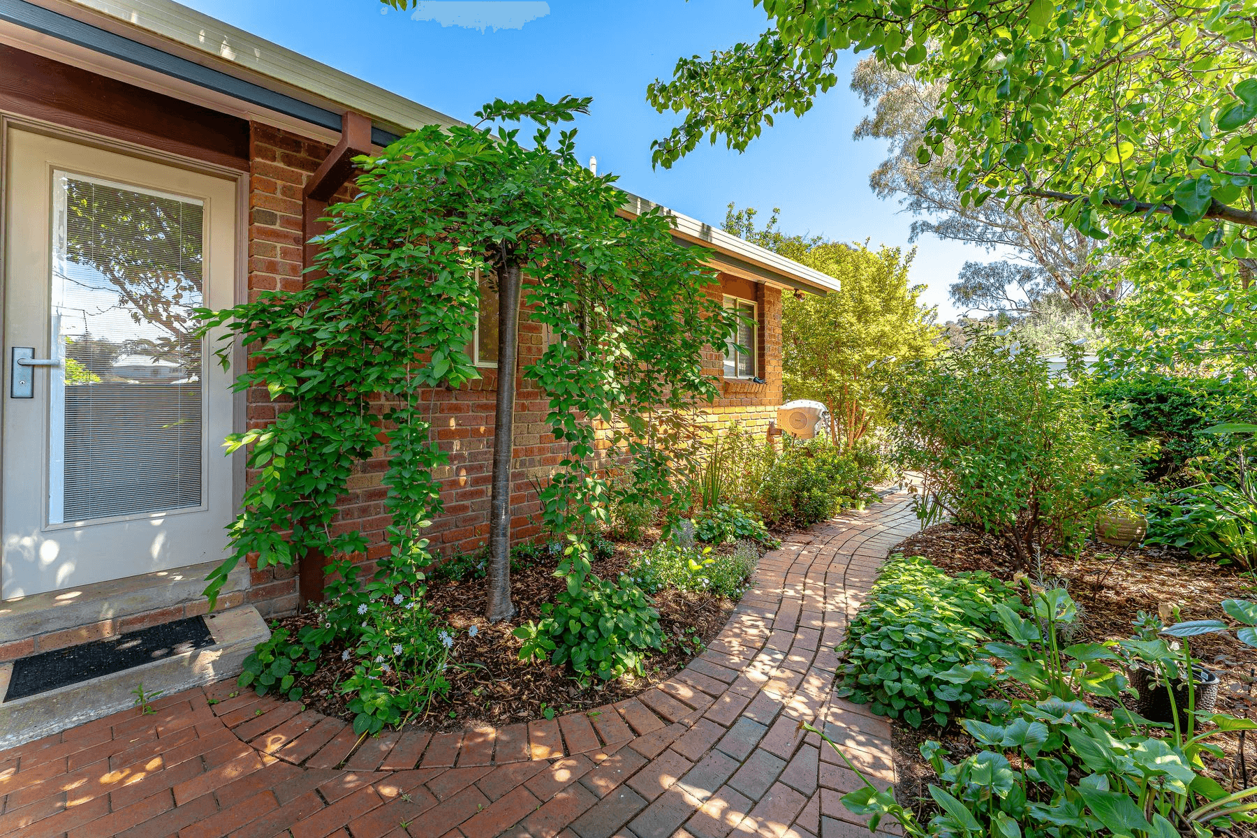 84 St Killian Street, White Hills, VIC 3550