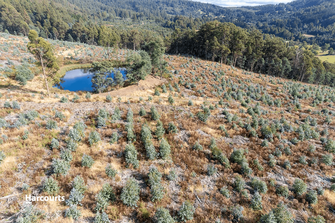 Lot 9 Paddys Lane, FRANKLIN, TAS 7113