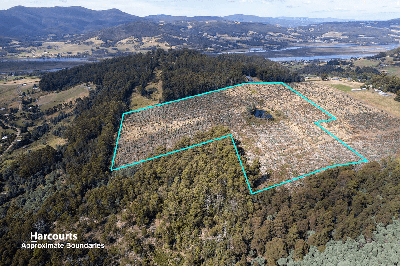 Lot 9 Paddys Lane, FRANKLIN, TAS 7113