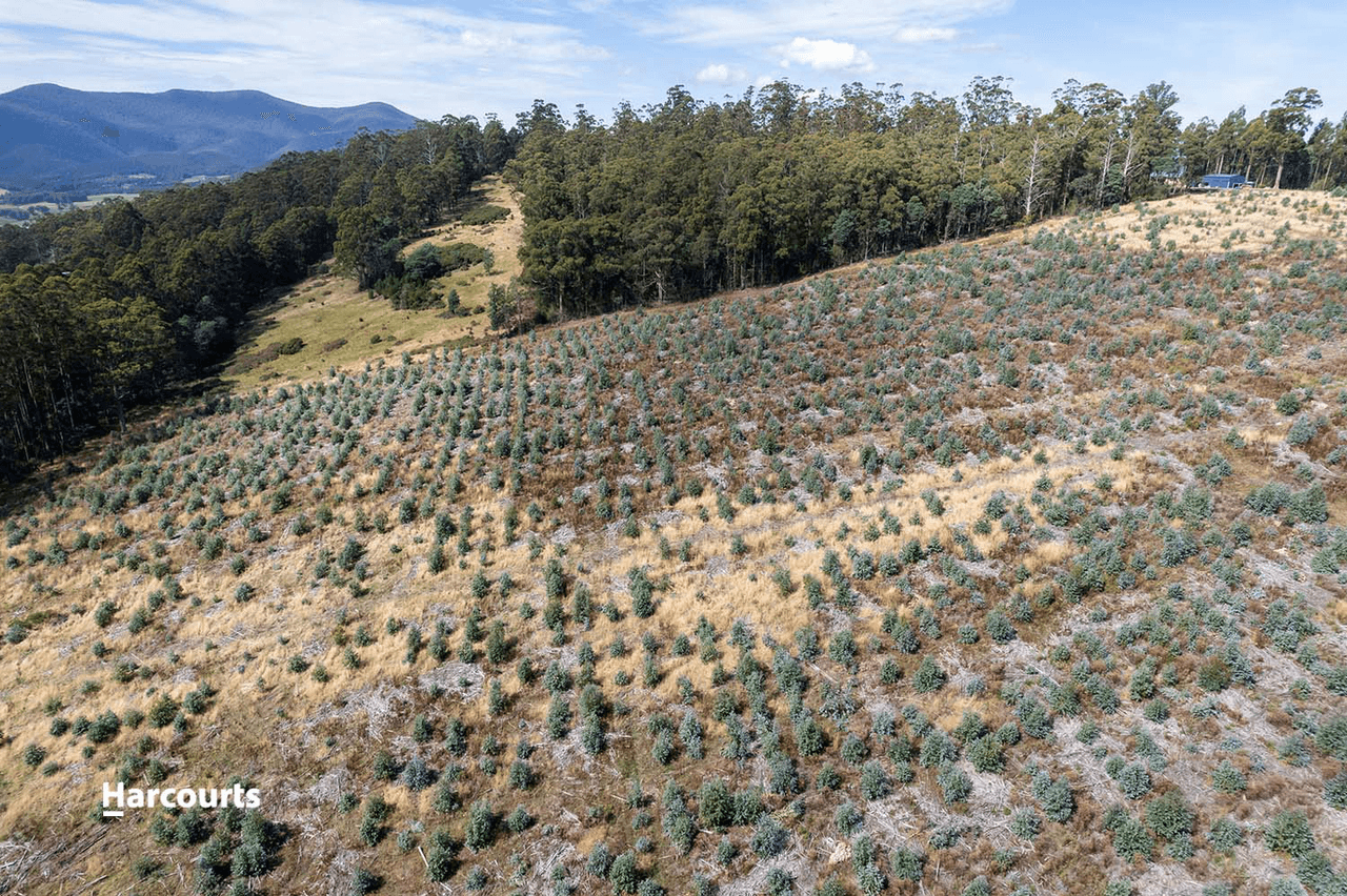 Lot 9 Paddys Lane, FRANKLIN, TAS 7113