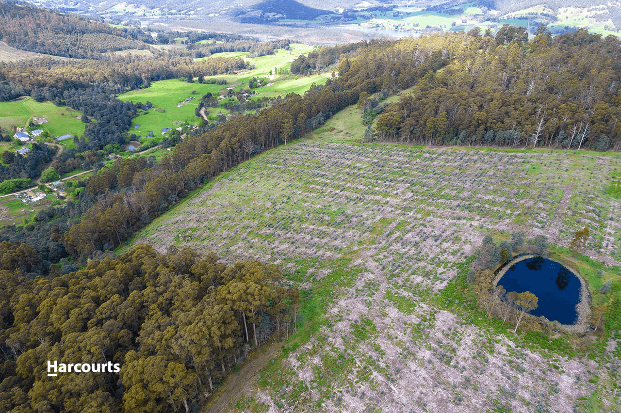 Lot 9 Paddys Lane, FRANKLIN, TAS 7113