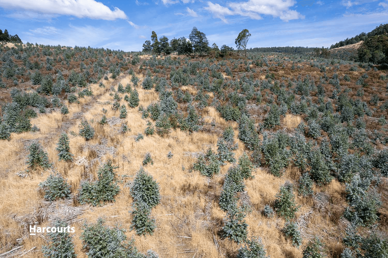 Lot 9 Paddys Lane, FRANKLIN, TAS 7113