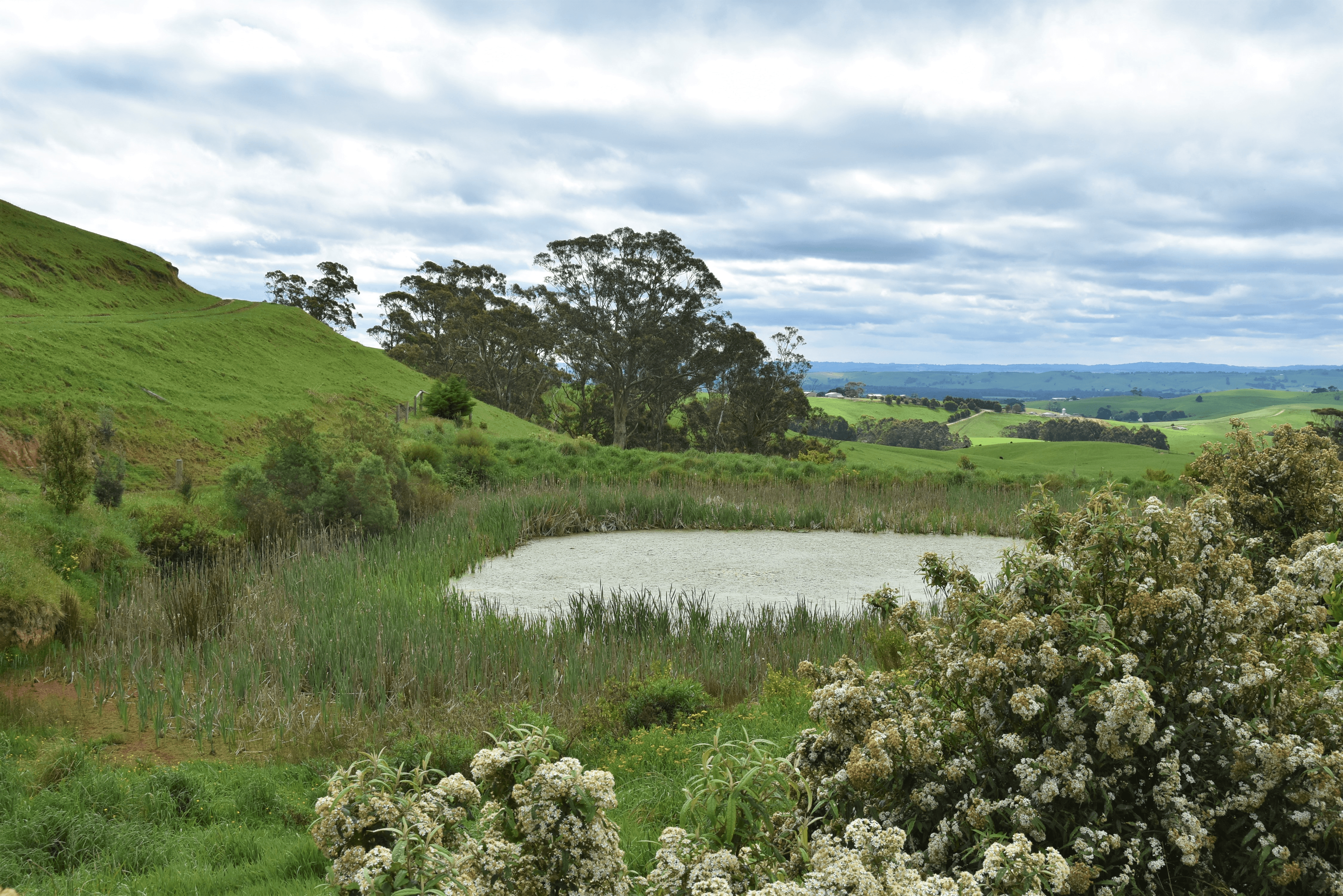 66 Falls Road, STONY CREEK, VIC 3957