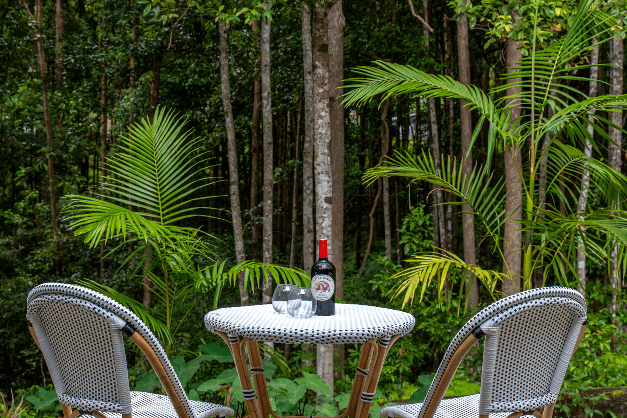 16 Platypus Creek Road, DULONG, QLD 4560
