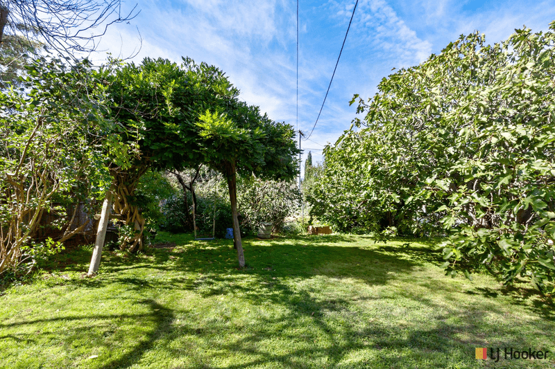 36 Elimatta Street, REID, ACT 2612