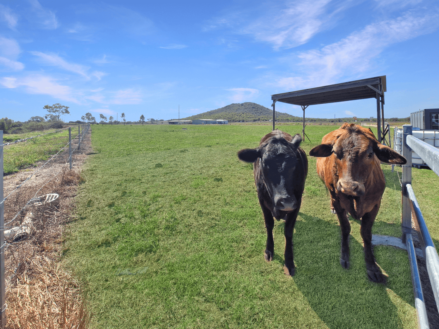 Lot 6/414 Bootooloo Road, Bowen, QLD 4805