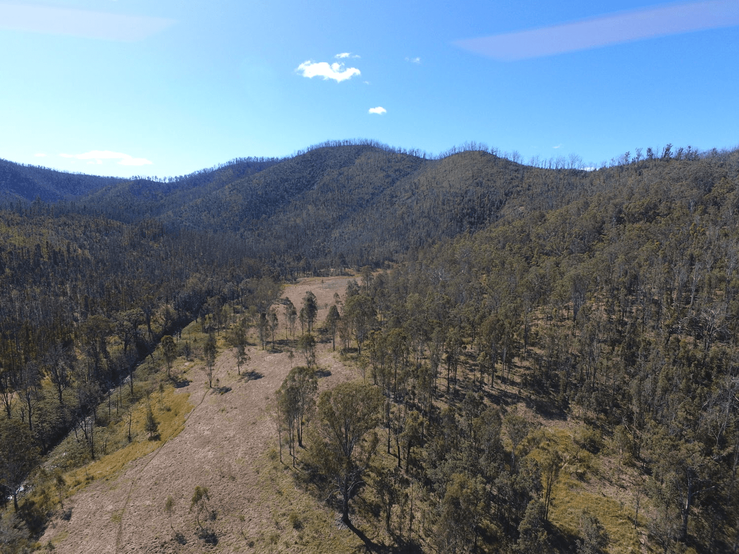 Paddys Flat Road, TABULAM, NSW 2469