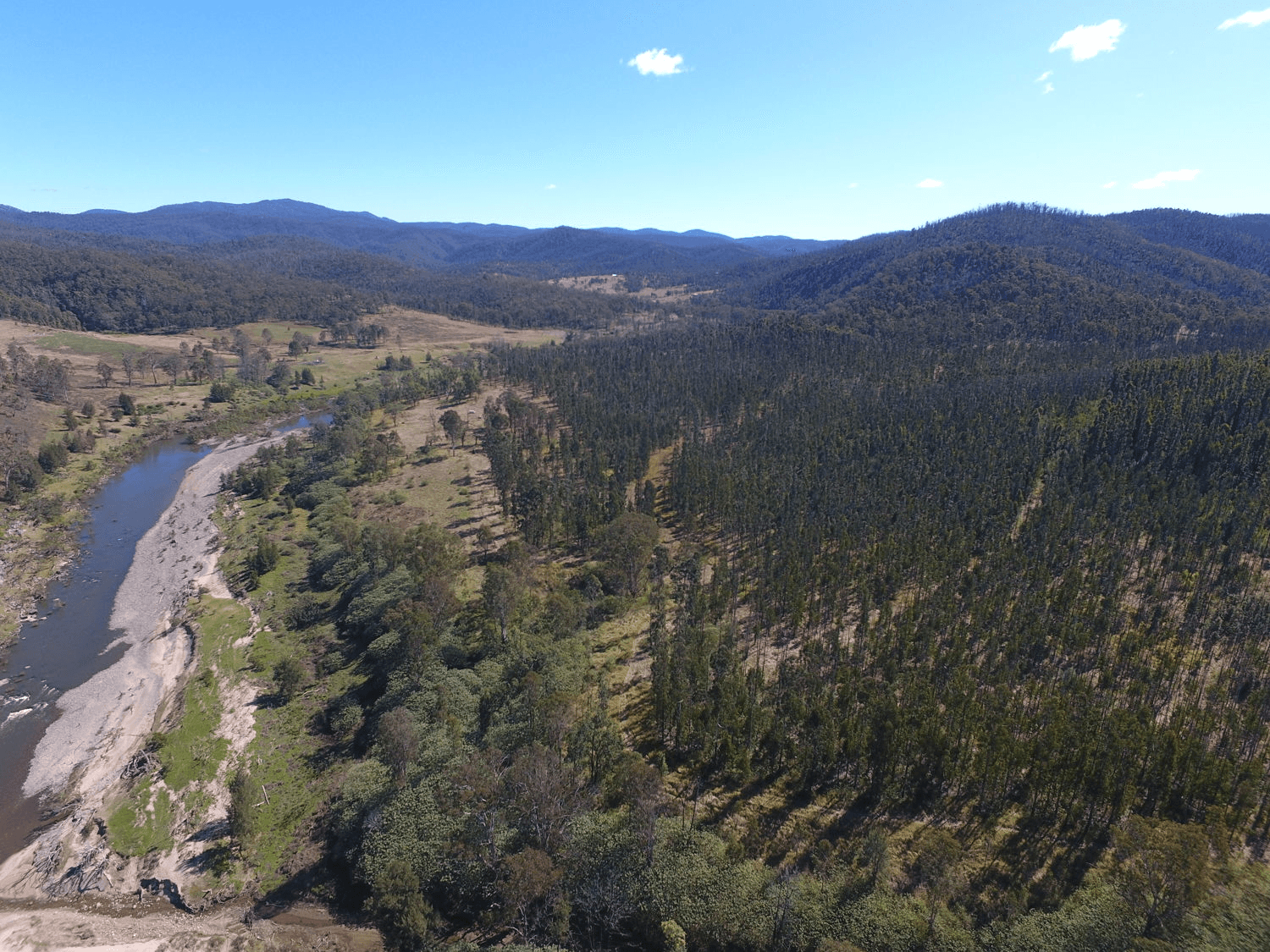 Paddys Flat Road, TABULAM, NSW 2469