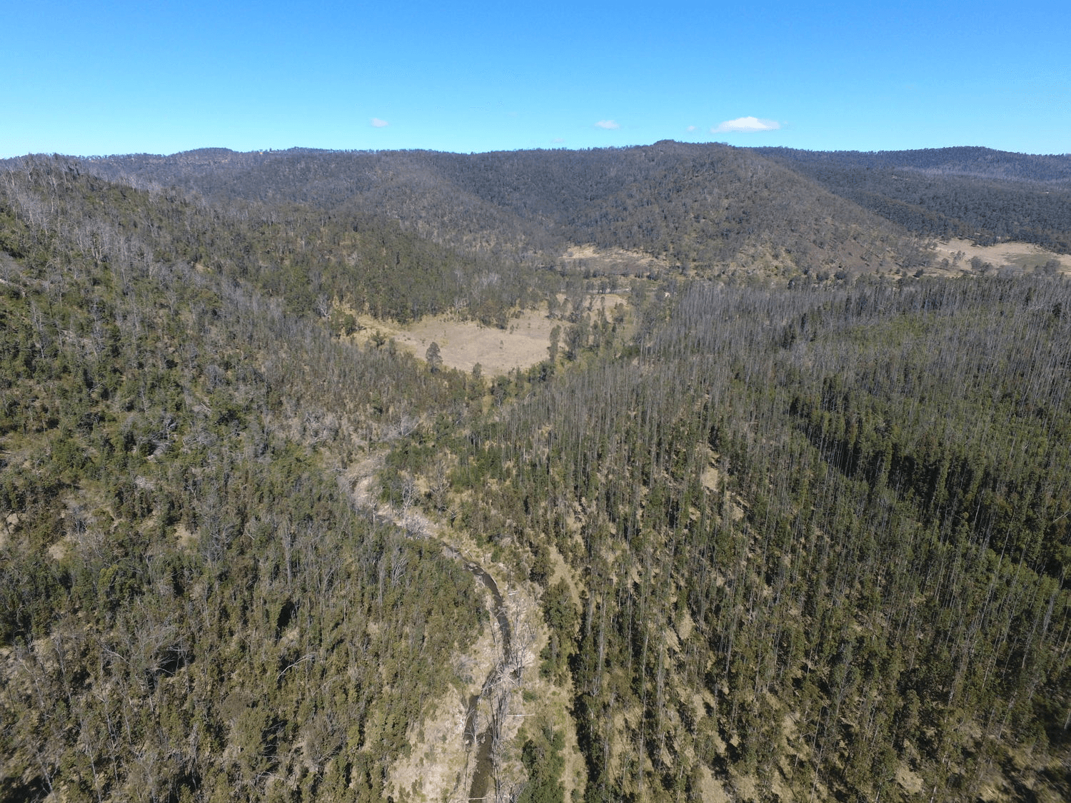 Paddys Flat Road, TABULAM, NSW 2469