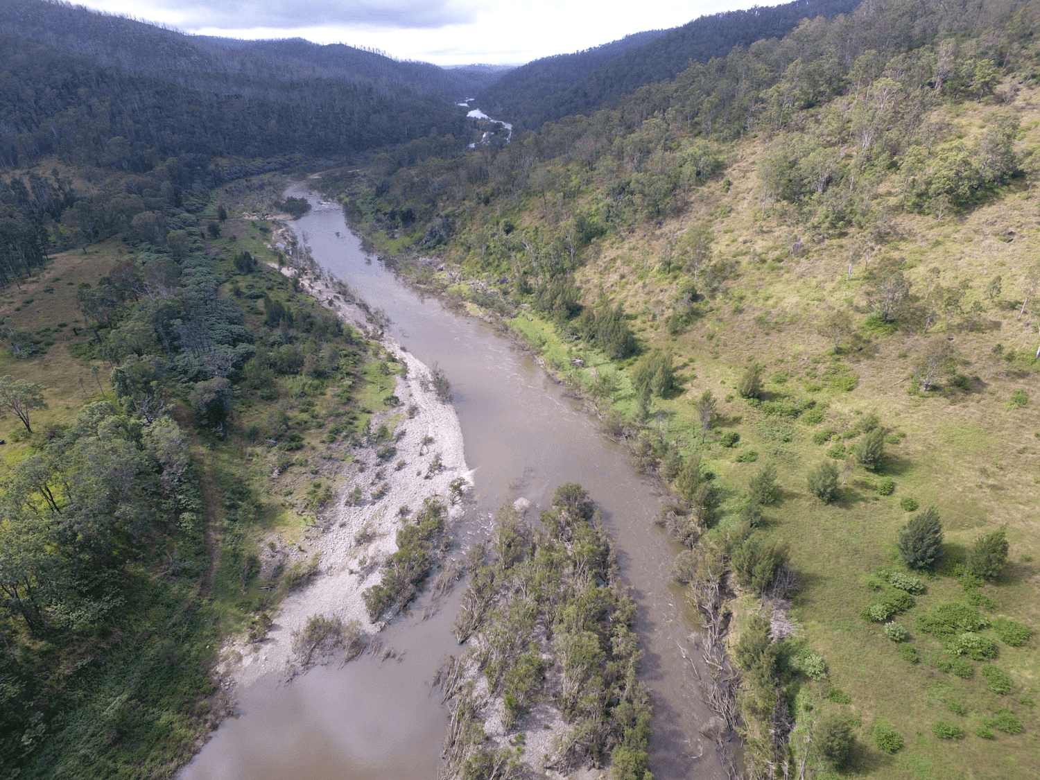 Paddys Flat Road, TABULAM, NSW 2469