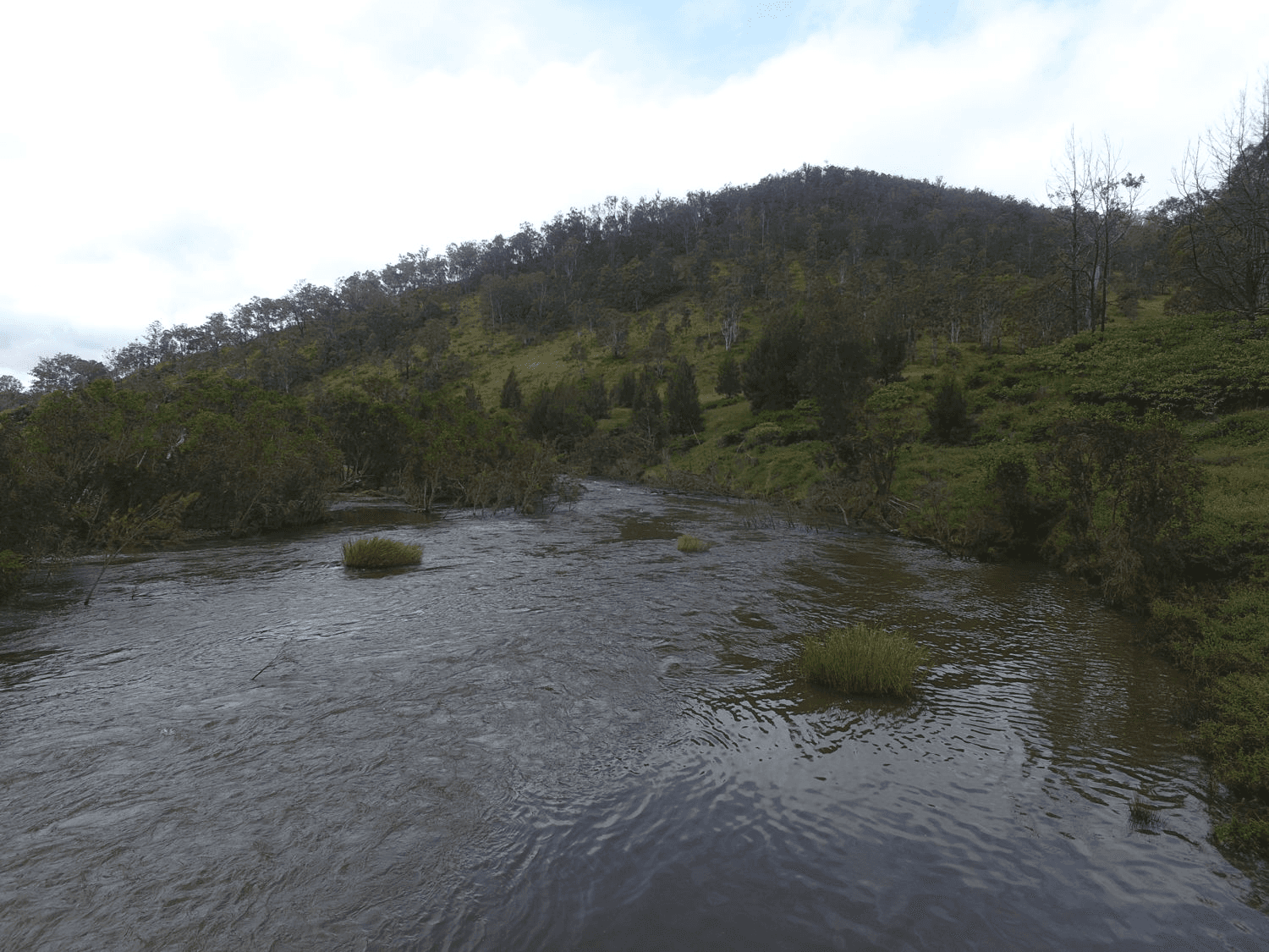 Paddys Flat Road, TABULAM, NSW 2469