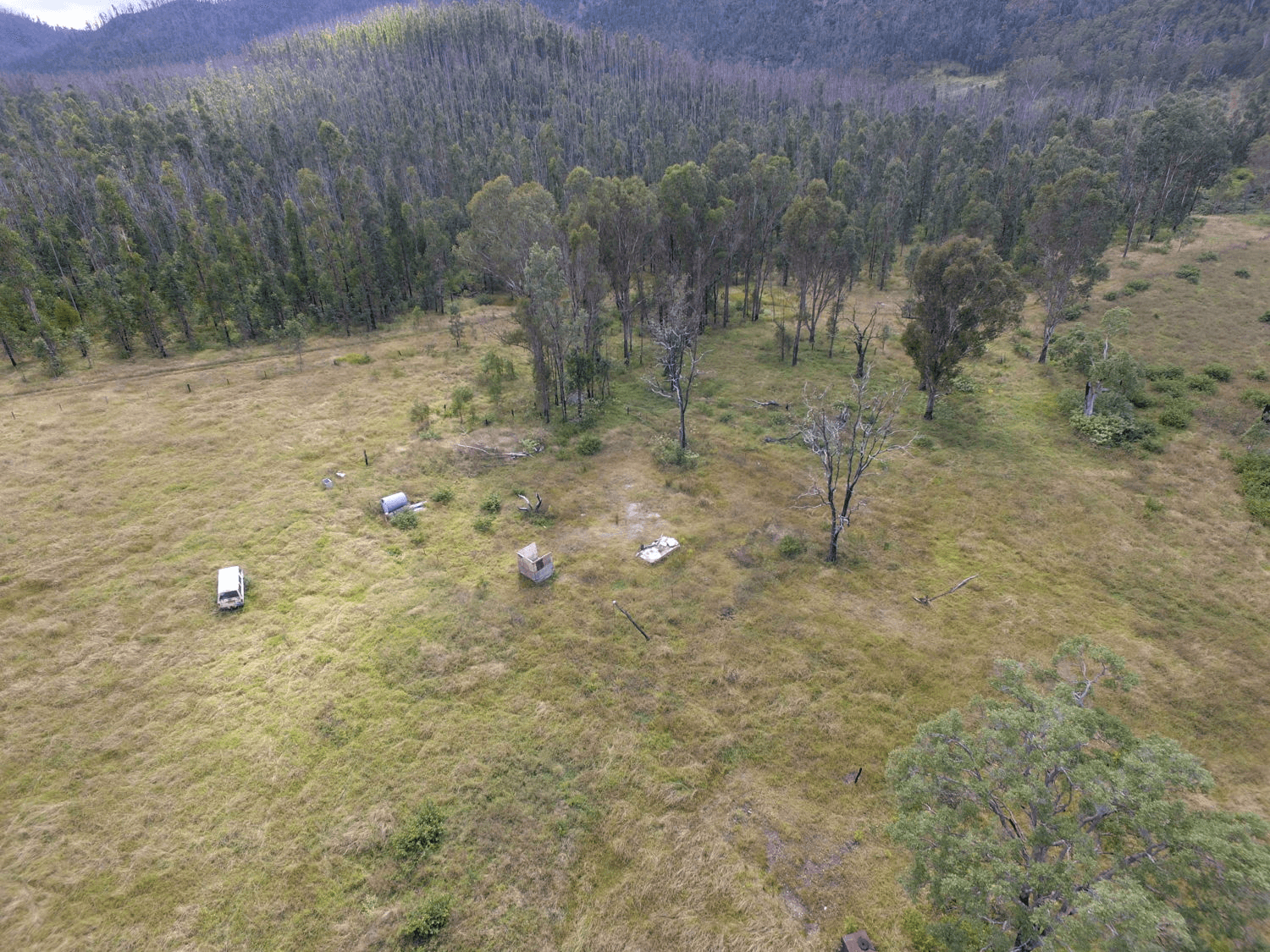 Paddys Flat Road, TABULAM, NSW 2469