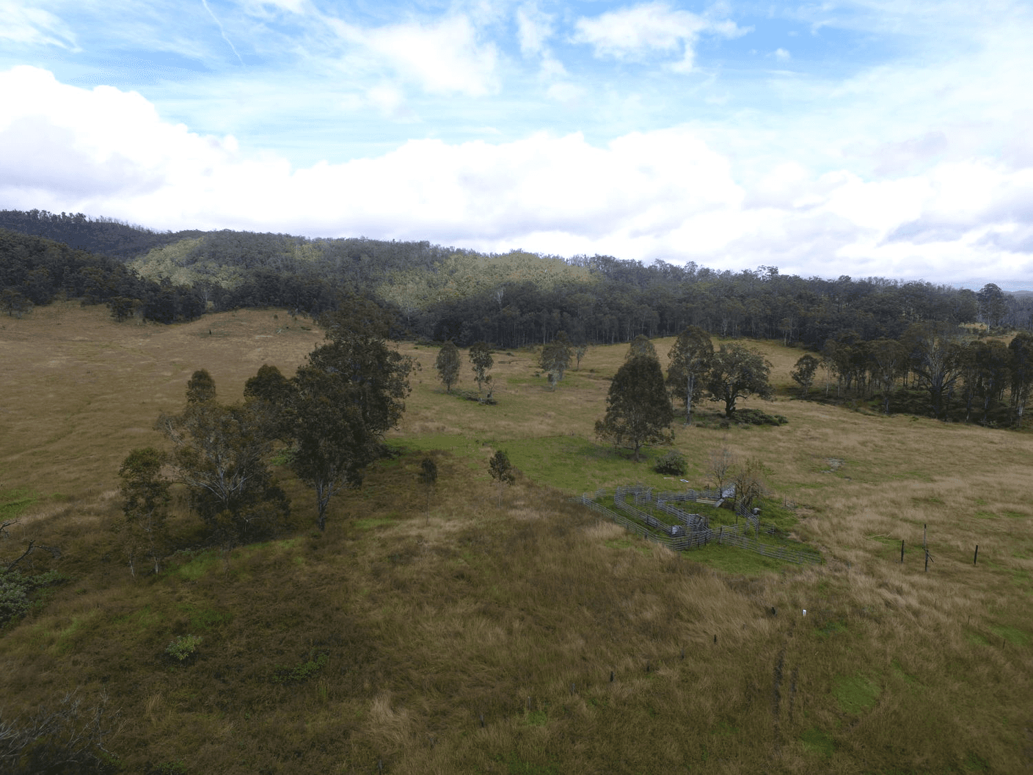 Paddys Flat Road, TABULAM, NSW 2469