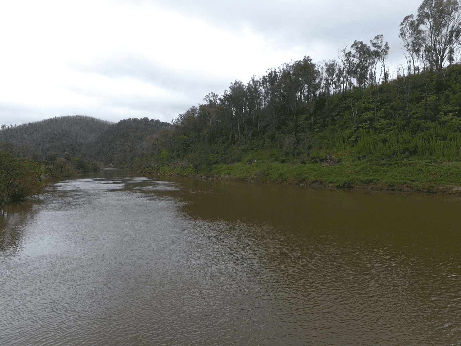 Paddys Flat Road, TABULAM, NSW 2469