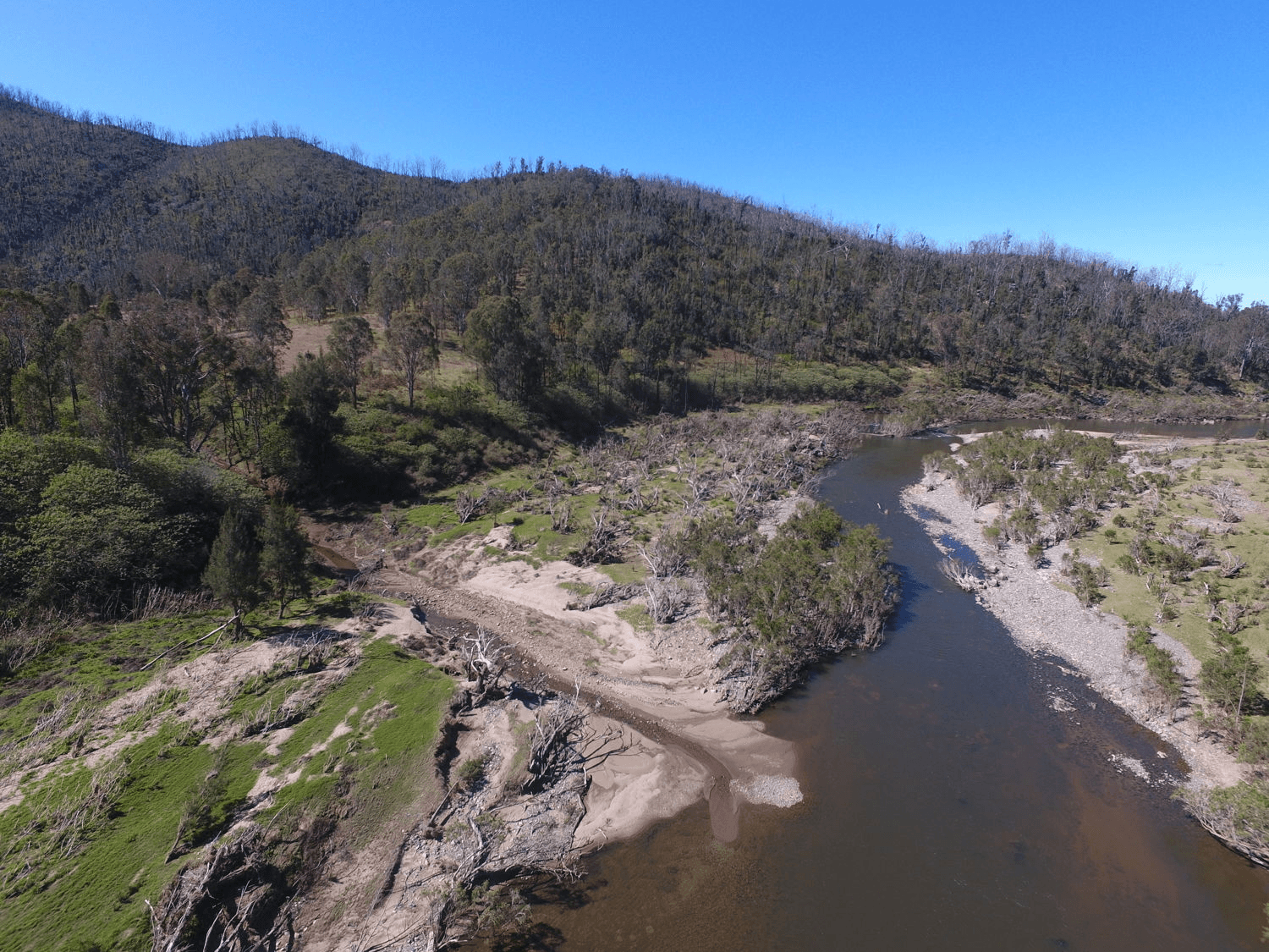 Paddys Flat Road, TABULAM, NSW 2469