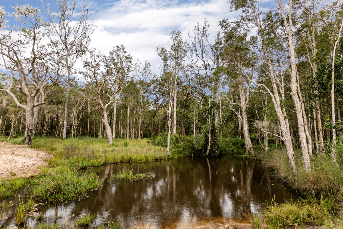 47 Ryries Road, Lawrence, NSW 2460