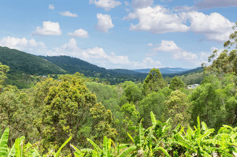 11 Coonardoo Court, WONGAWALLAN, QLD 4210