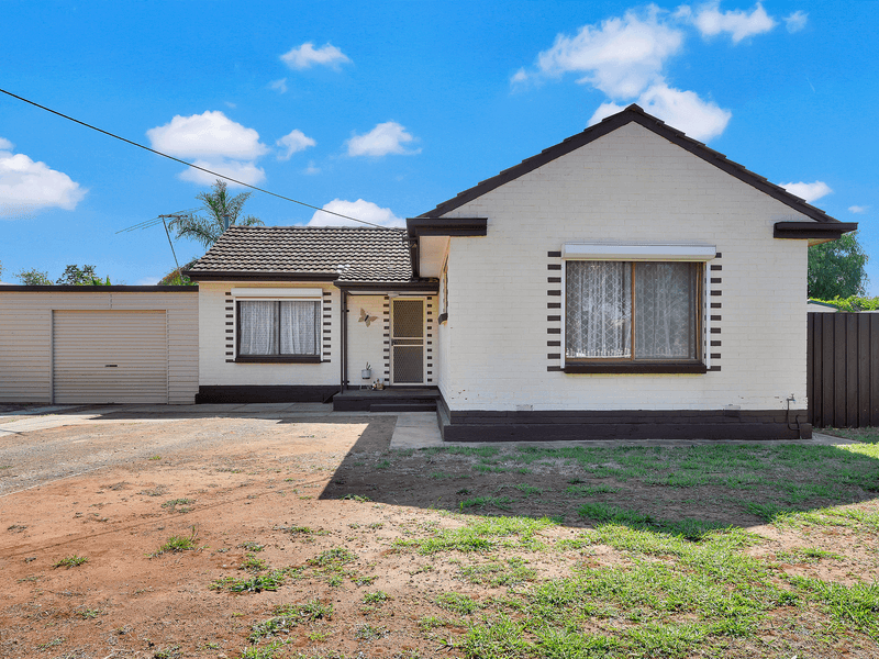 20 BLACKDOWN STREET, DAVOREN PARK, SA 5113