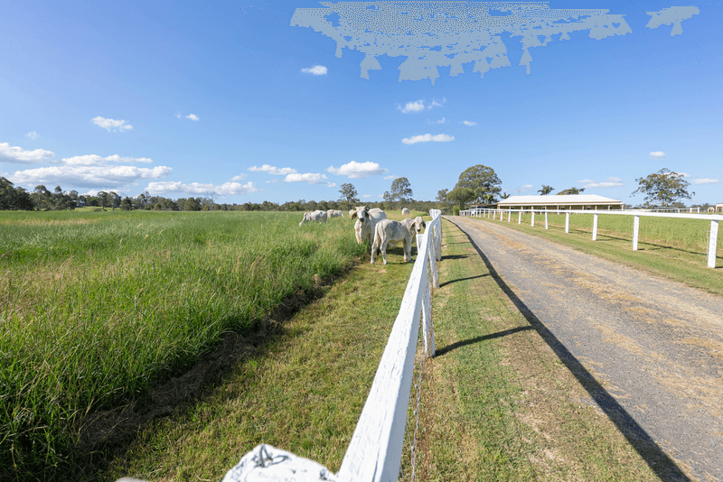 239 Poplar Street, WALLOON, QLD 4306