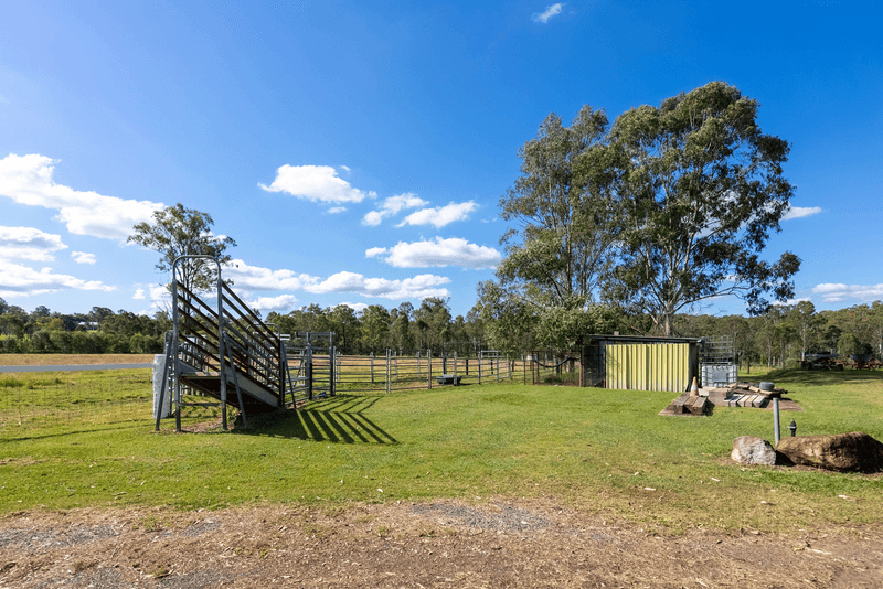 239 Poplar Street, WALLOON, QLD 4306