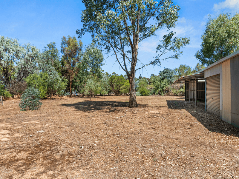 28 Twiggs Lane, NEWBRIDGE, VIC 3551