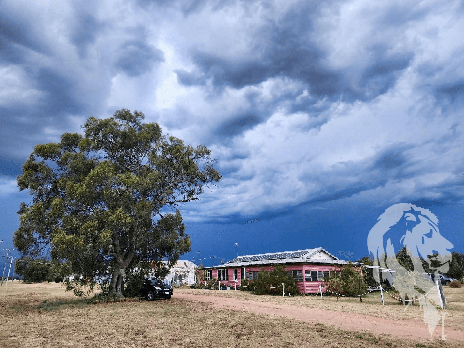 43 Dangar Street, PILLIGA, NSW 2388