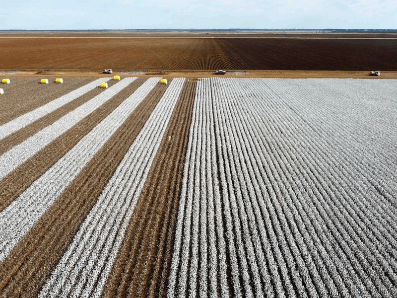 Gundaline Sturt Highway, CARRATHOOL, NSW 2711