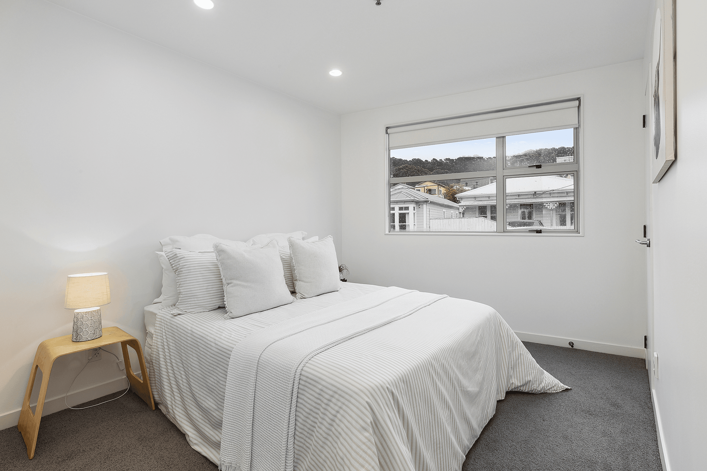 203 Tasman Street, Mount Cook, Wellington 6021