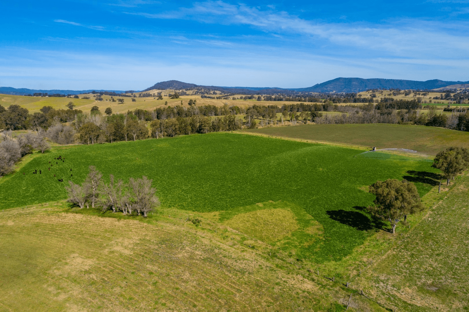 771 Fishers Hill Road, Gresford, NSW 2311