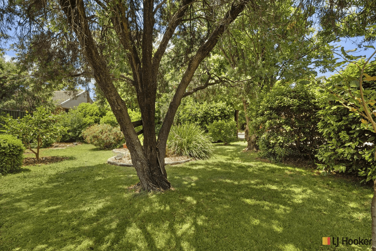 3 Selfe Street, DOWNER, ACT 2602