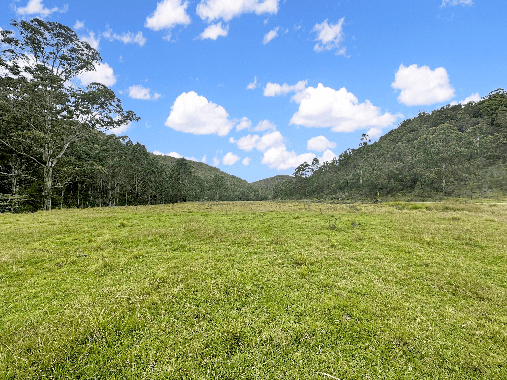 Parcel D Hitcham Park Dairy Arm Road, Laguna, NSW 2325