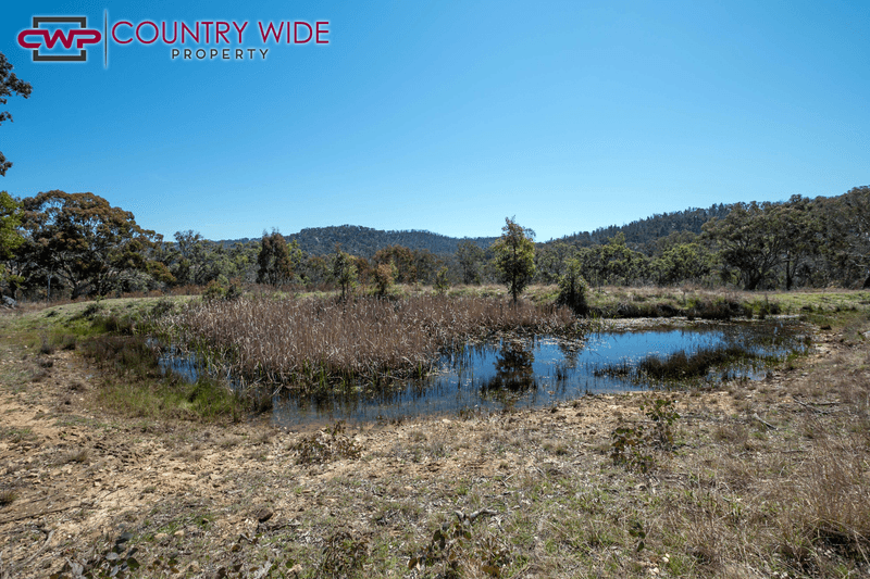 Torrington Road, STANNUM, NSW 2371