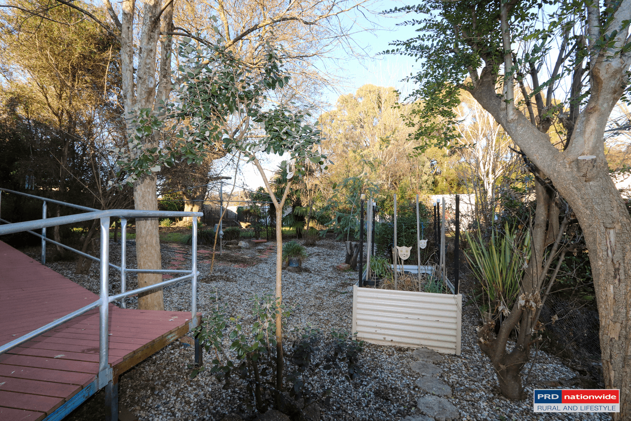 104 Murray Street, TUMBARUMBA, NSW 2653