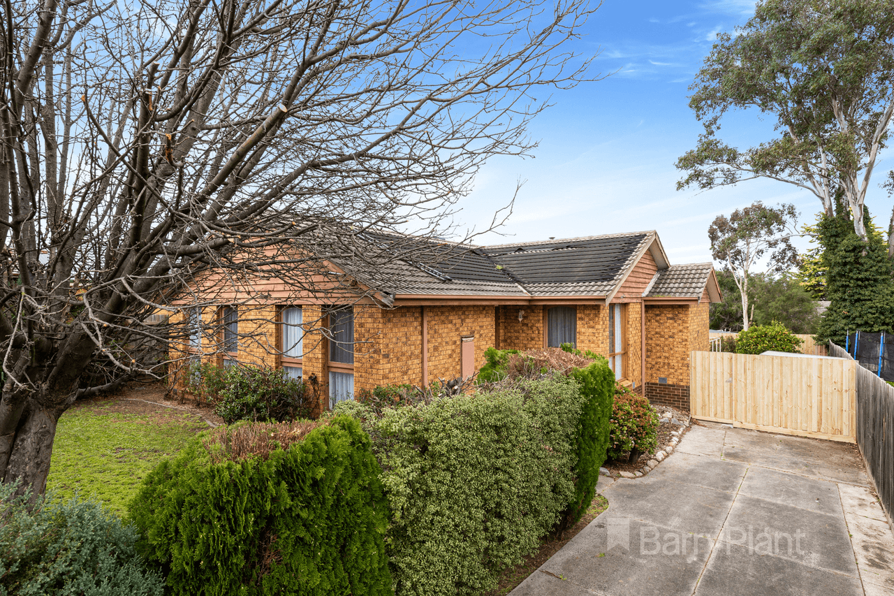 124 Mcfees Road, Dandenong North, VIC 3175