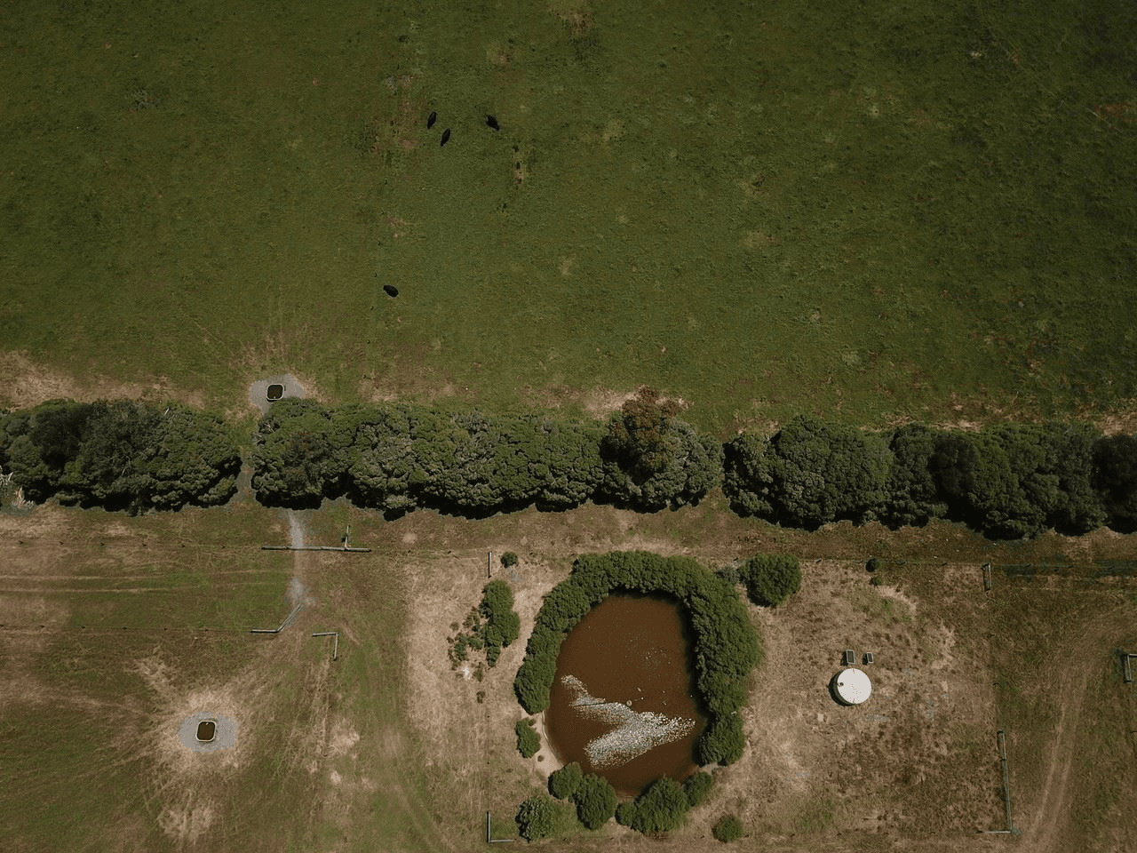 '  Panizza Road ', Dardanup, WA 6236