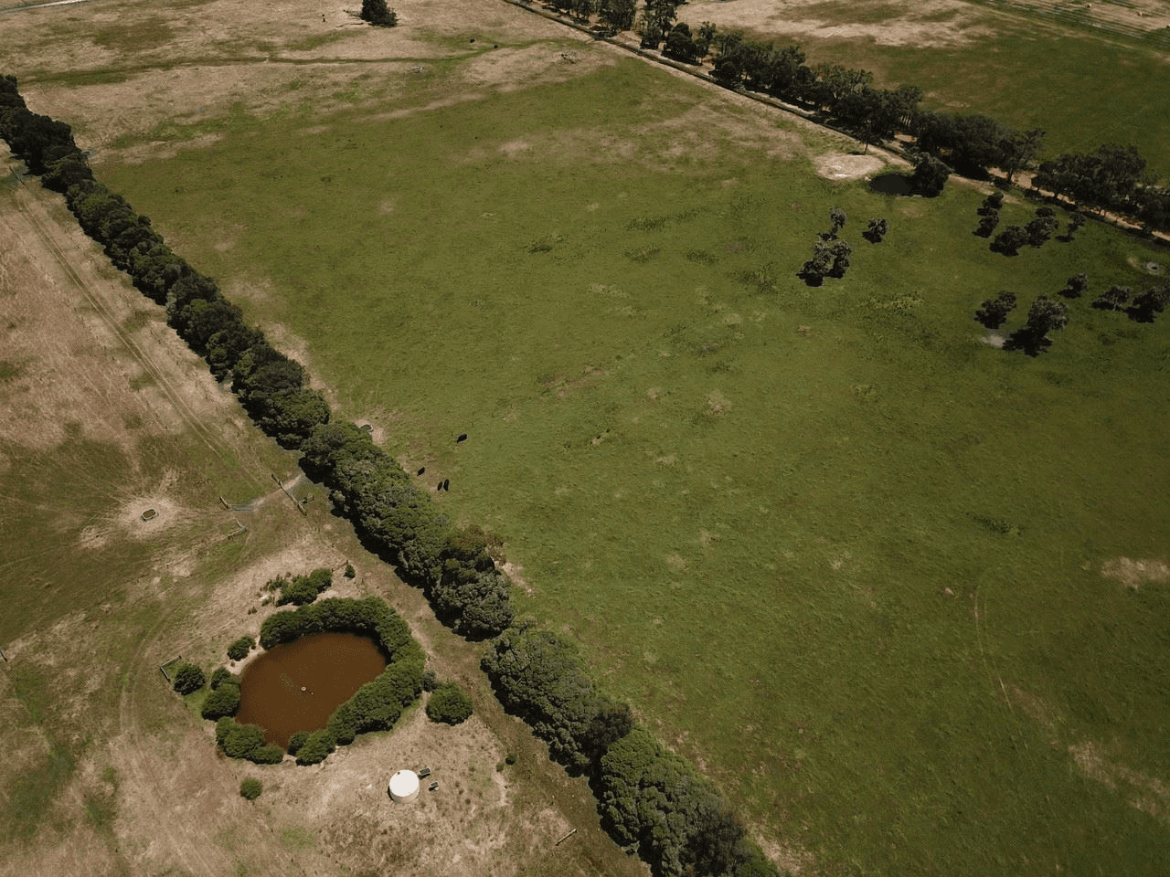 '  Panizza Road ', Dardanup, WA 6236