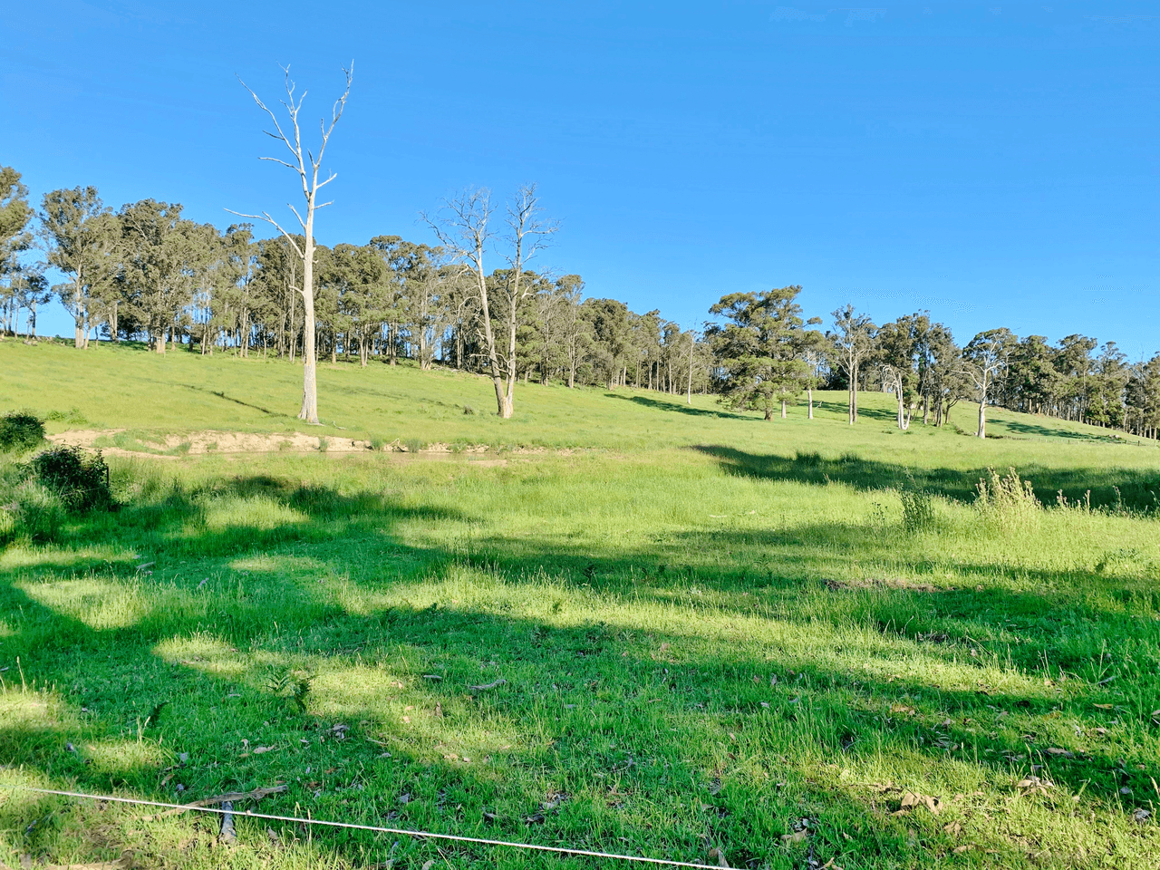 Lot 1  Batman Highway, SIDMOUTH, TAS 7270