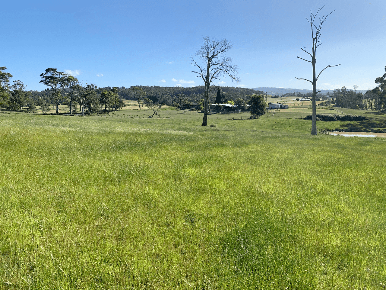 Lot 1  Batman Highway, SIDMOUTH, TAS 7270