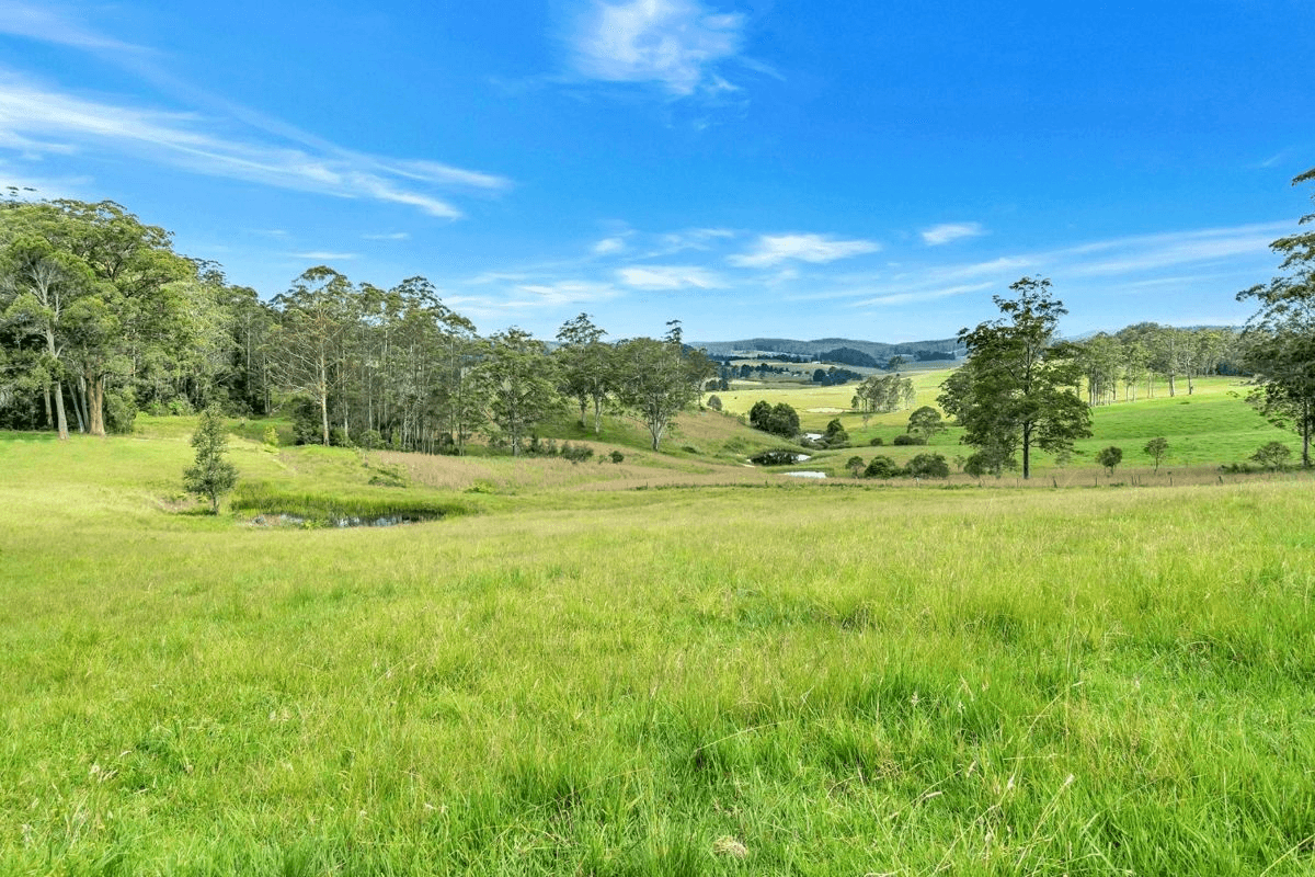 400 Camp Creek Road, LOWANNA, NSW 2450