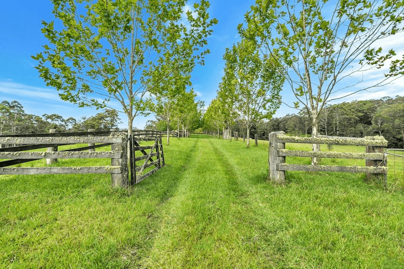 400 Camp Creek Road, LOWANNA, NSW 2450