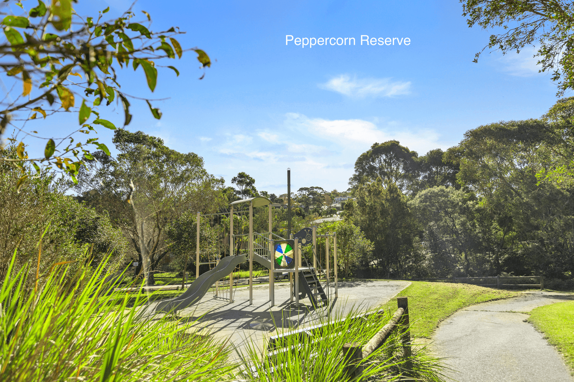 55 Carnarvon Drive, Frenchs Forest, NSW 2086