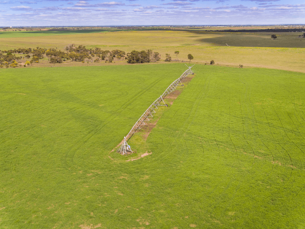 'Dieners' - Lot 1176 Longs Road, WOODS POINT, SA 5253