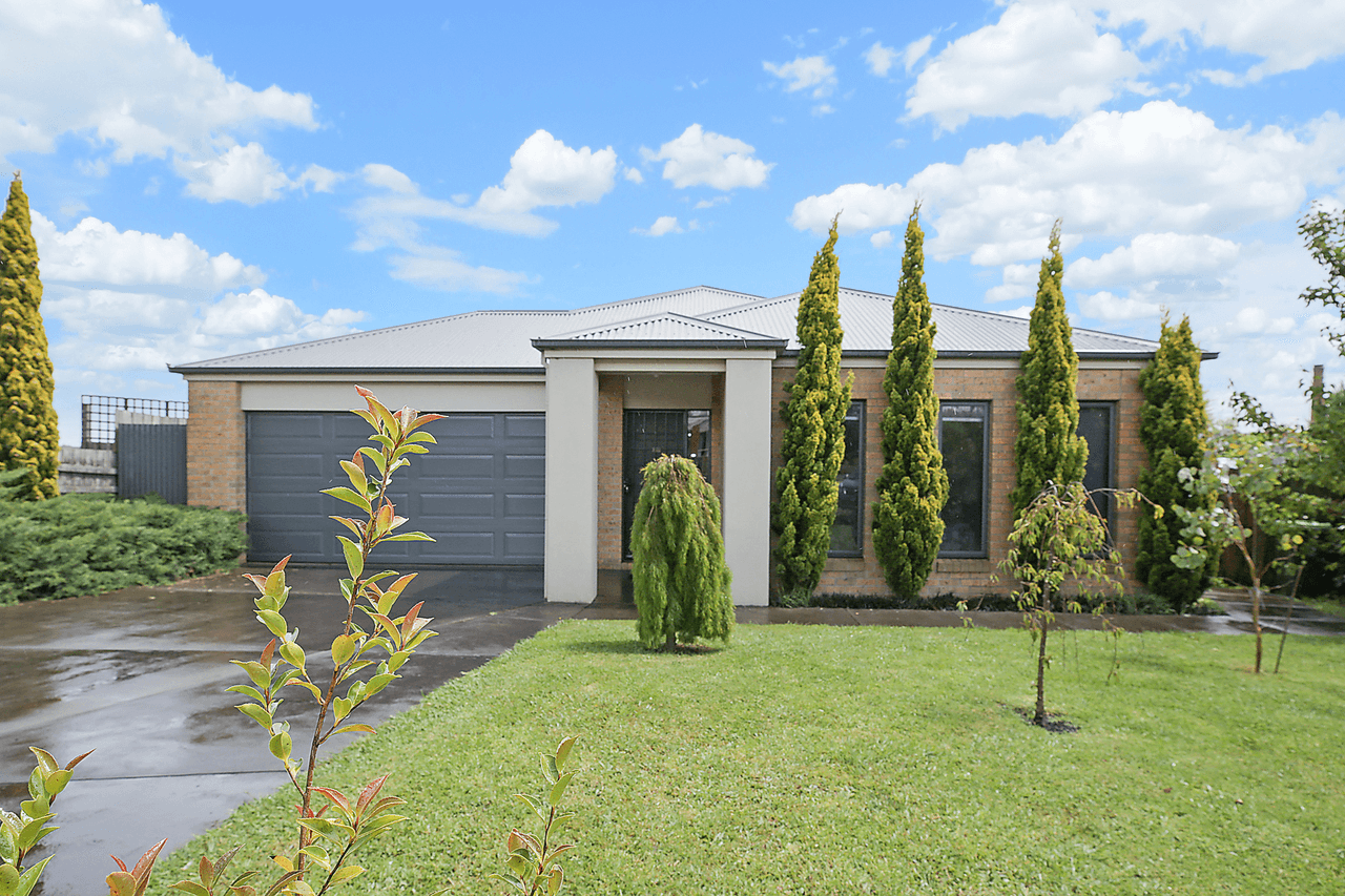 20 McAlpine Court, CAMPERDOWN, VIC 3260