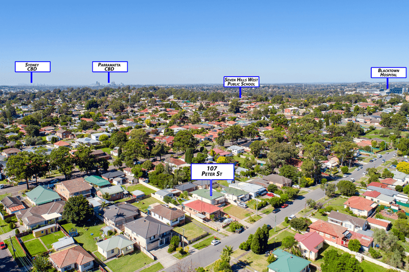 107 & 107A Peter Street, Blacktown, NSW 2148