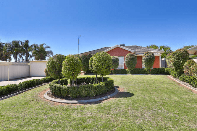 6 Tower Court, BURONGA, NSW 2739