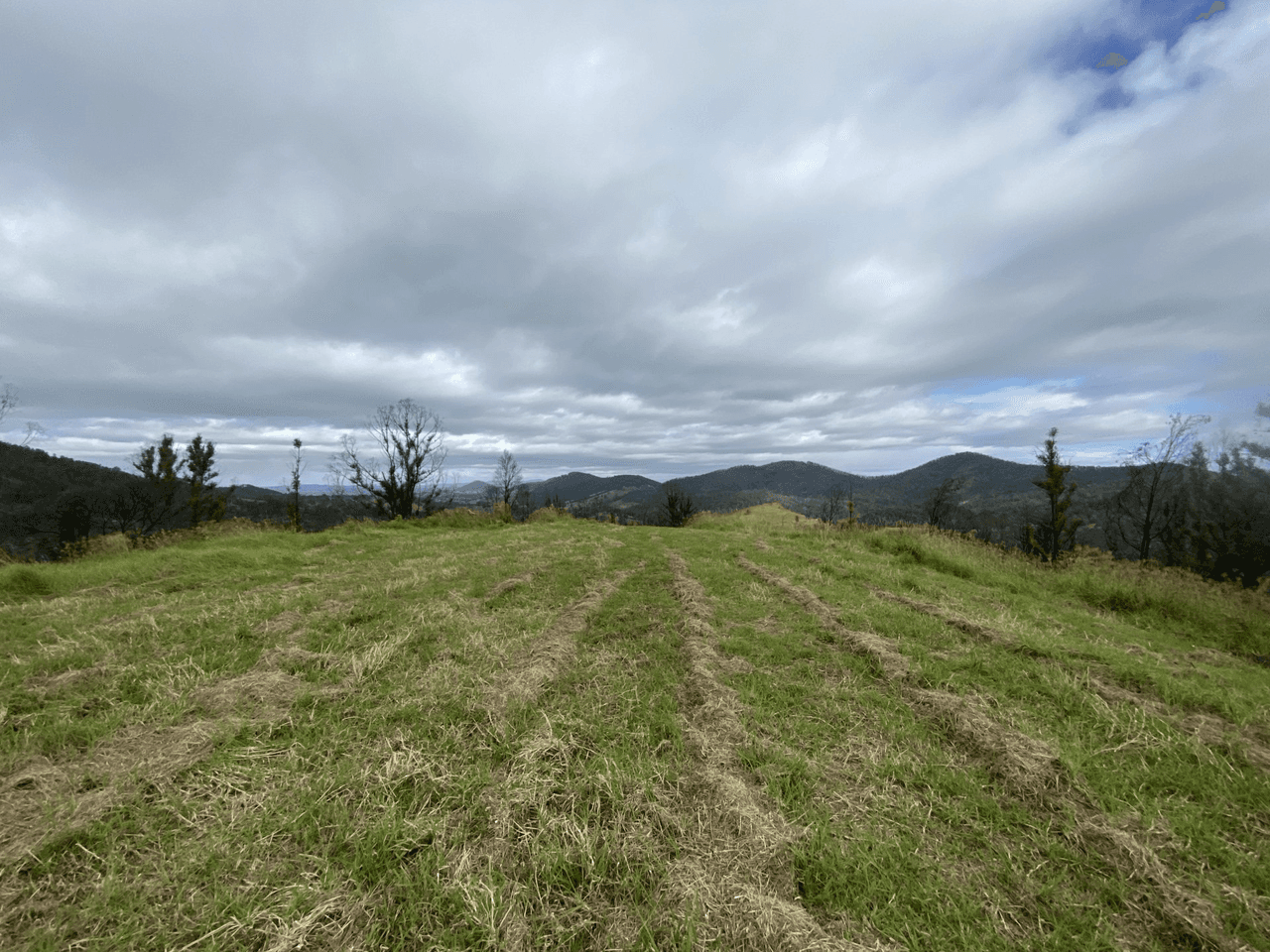 1138 Mooral Creek Road, MOORAL CREEK, NSW 2429