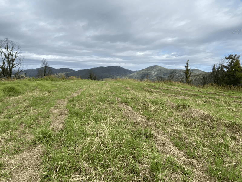 1138 Mooral Creek Road, MOORAL CREEK, NSW 2429