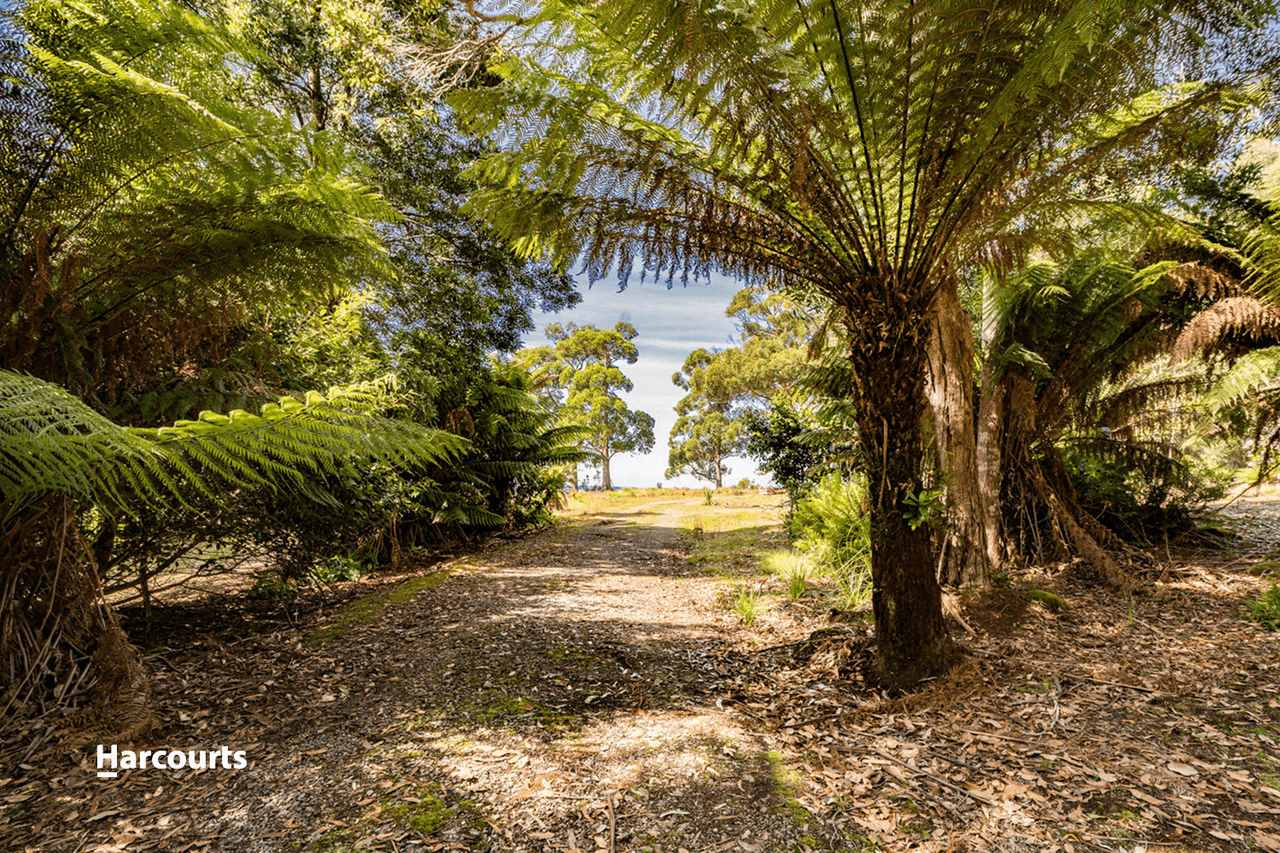 365 Cockle Creek Road, Recherche, TAS 7109